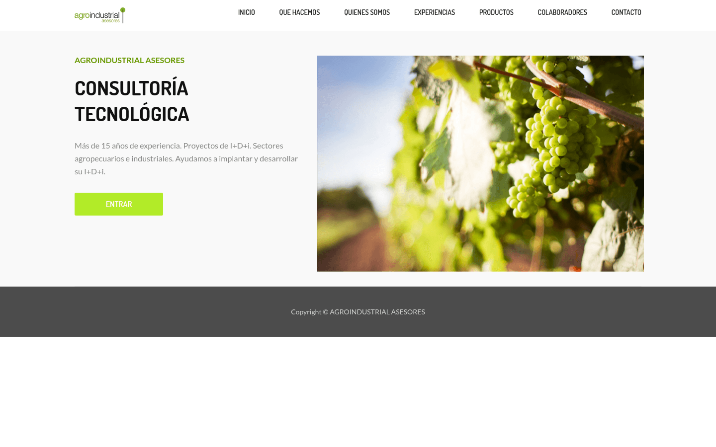 Agro Industrial Asesores - Web Corporativa Agrícola - Captura 1